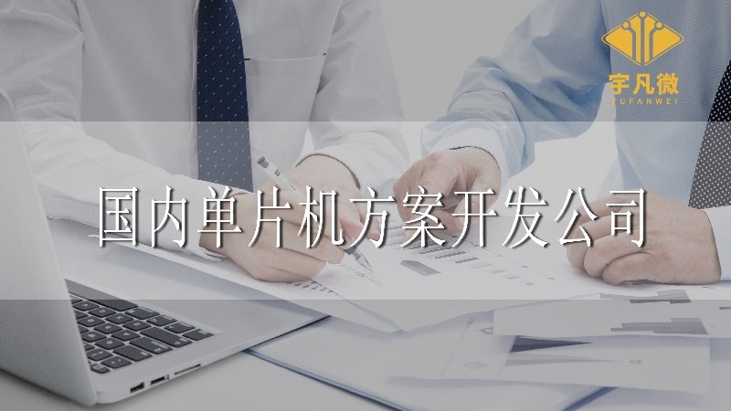 國內(nèi)單片機(jī)方案開發(fā)公司