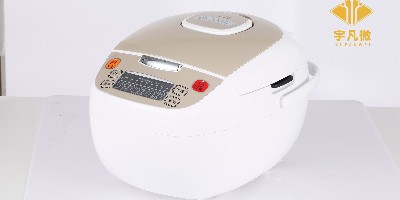 迷你多功能電飯鍋方案開(kāi)發(fā)