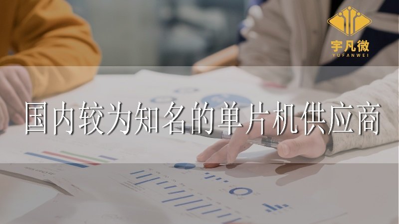 國內(nèi)較為知名的單片機供應(yīng)商有哪些