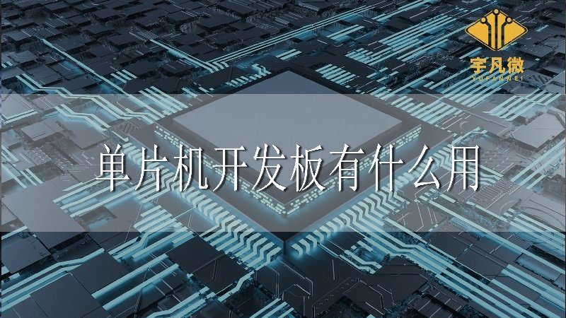 單片機(jī)開(kāi)發(fā)板有什么用