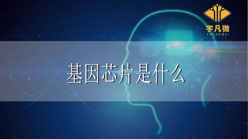 基因芯片是什么?應(yīng)用在哪些行業(yè)?